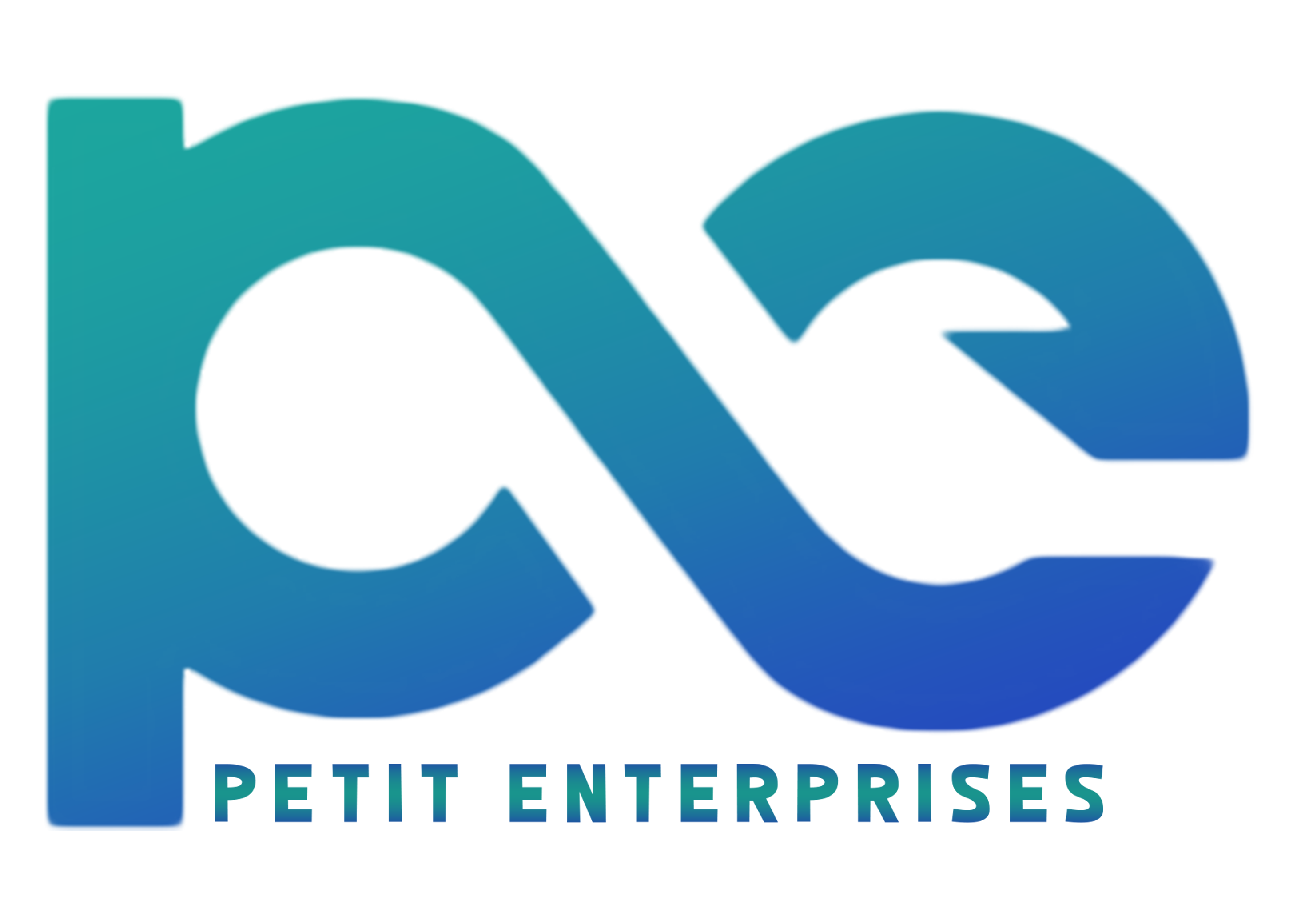 Petit Enterprises Inc.